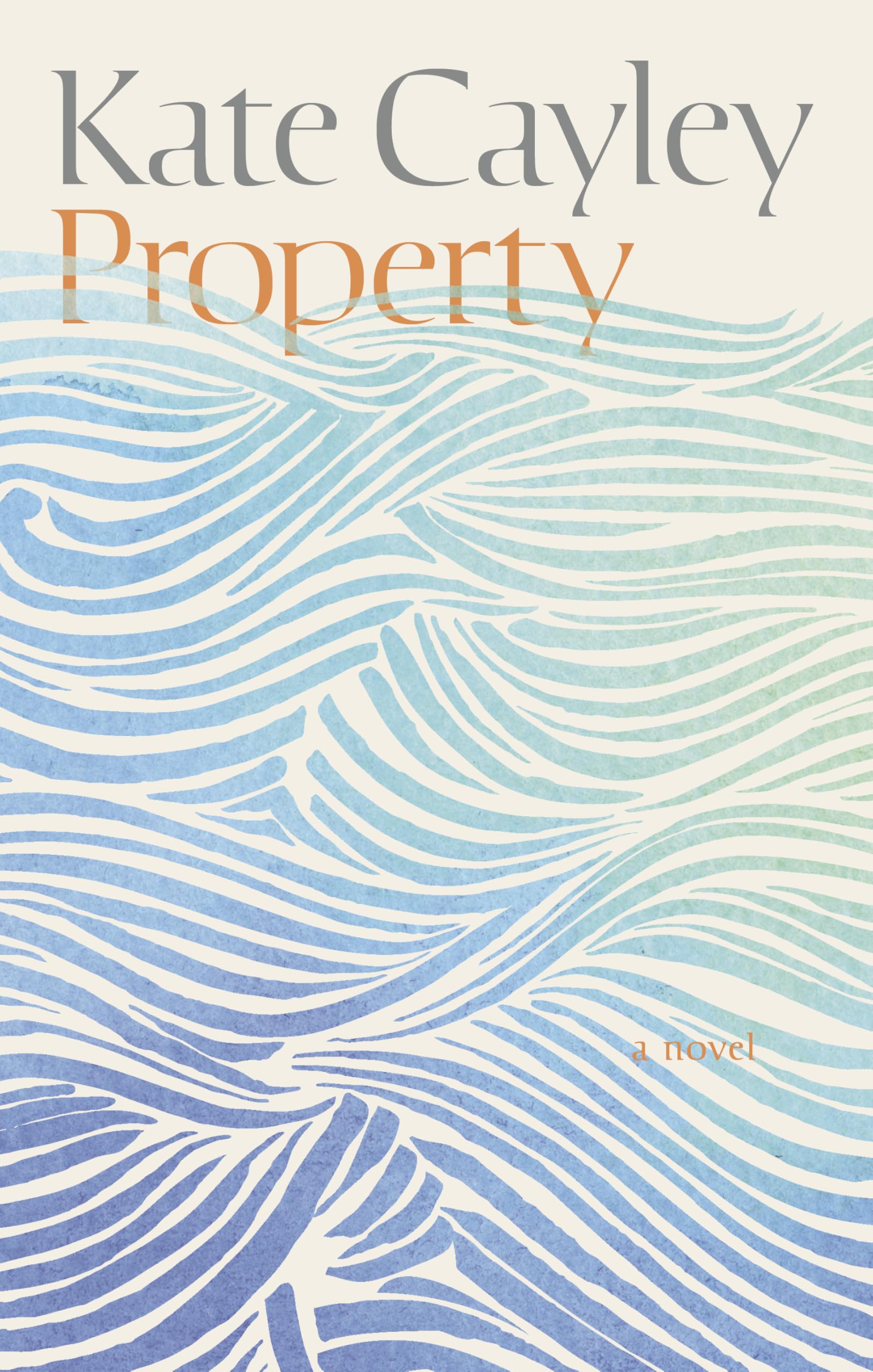 洋書 Property companies and the construction Property: Cayley, Kate: 9781552455074: Books - Amazon.ca